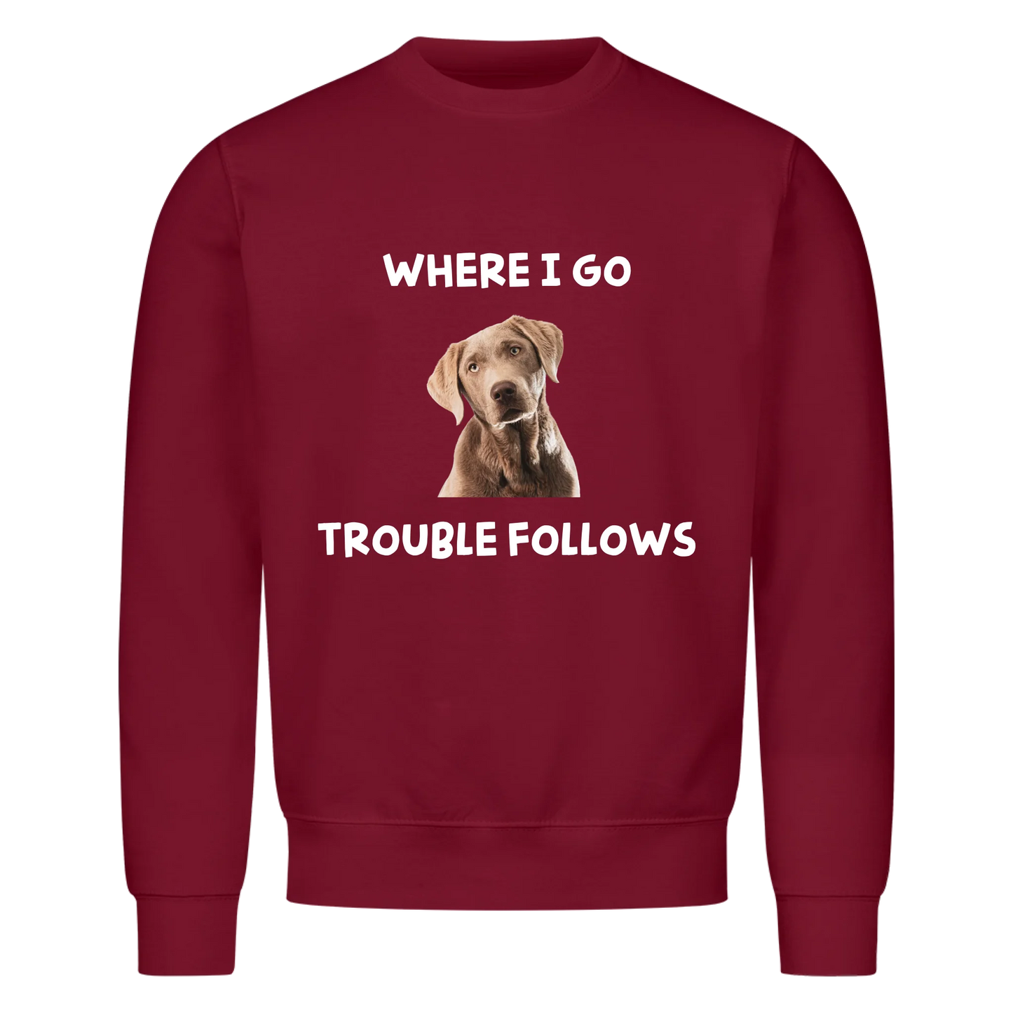 Where i go trouble follows - Sweatshirt / Pulli