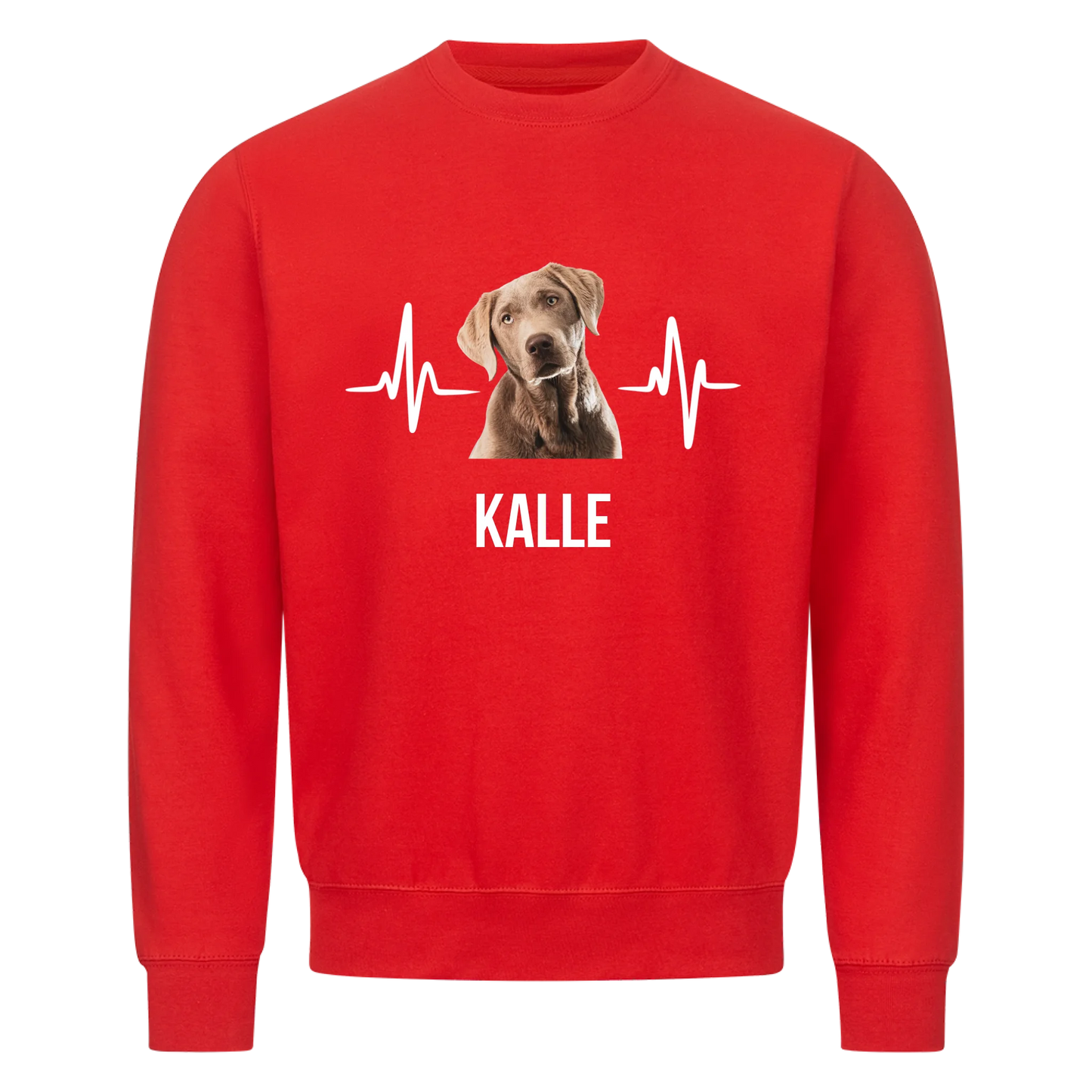 Personalisiertes Haustier mit Hintergrundentfernung - Sweatshirt / Pulli mit Foto und Name