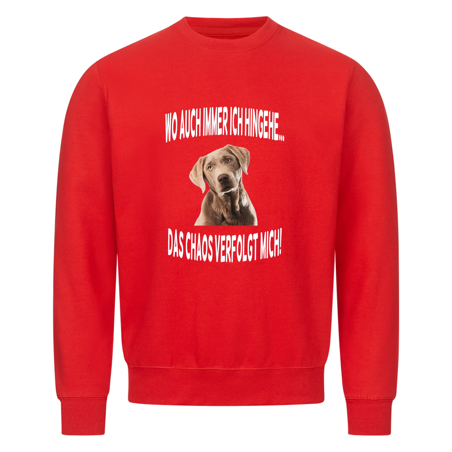 Wo auch immer ich hingehe... Das Chaos verfolgt mich - Sweatshirt / Pulli