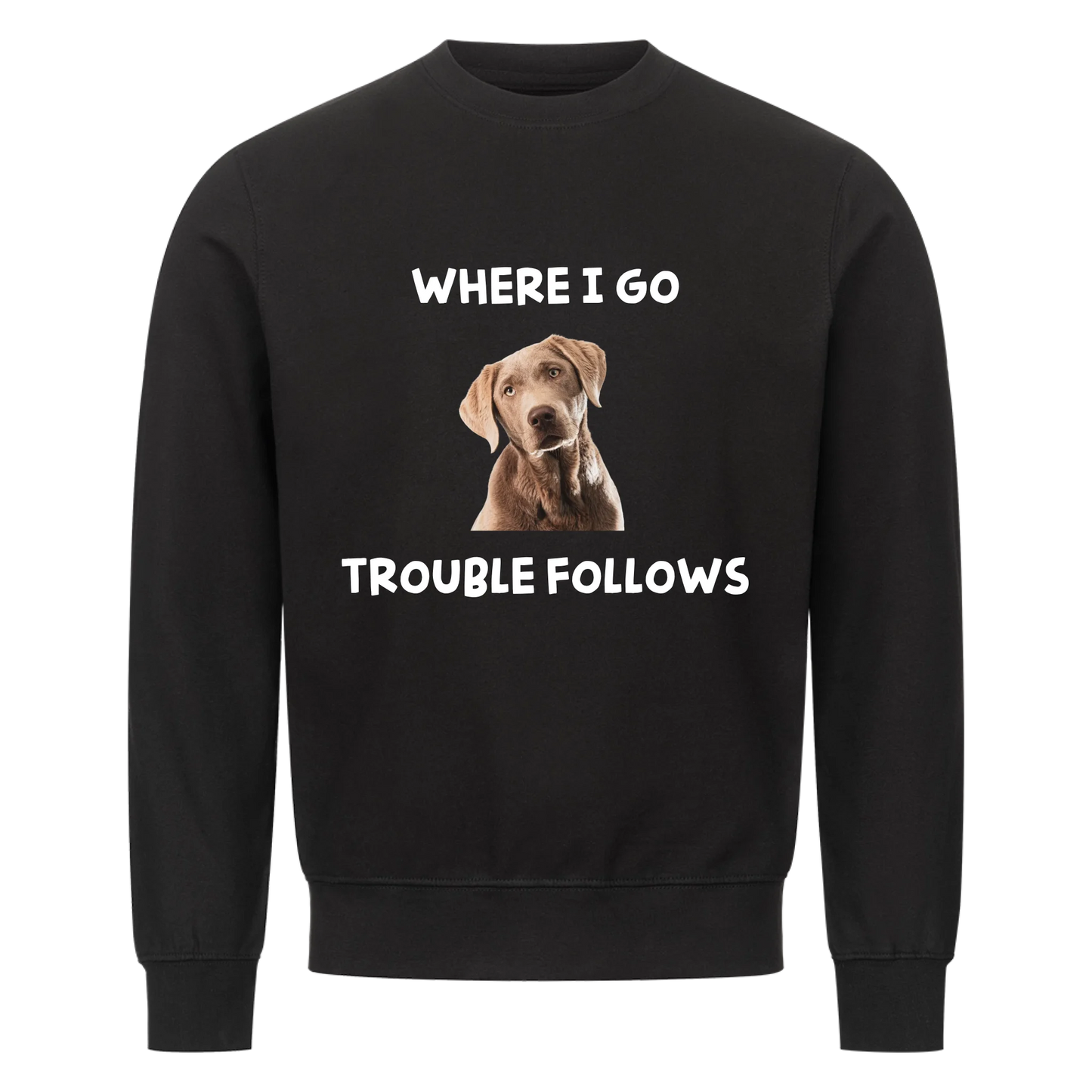 Where i go trouble follows - Sweatshirt / Pulli