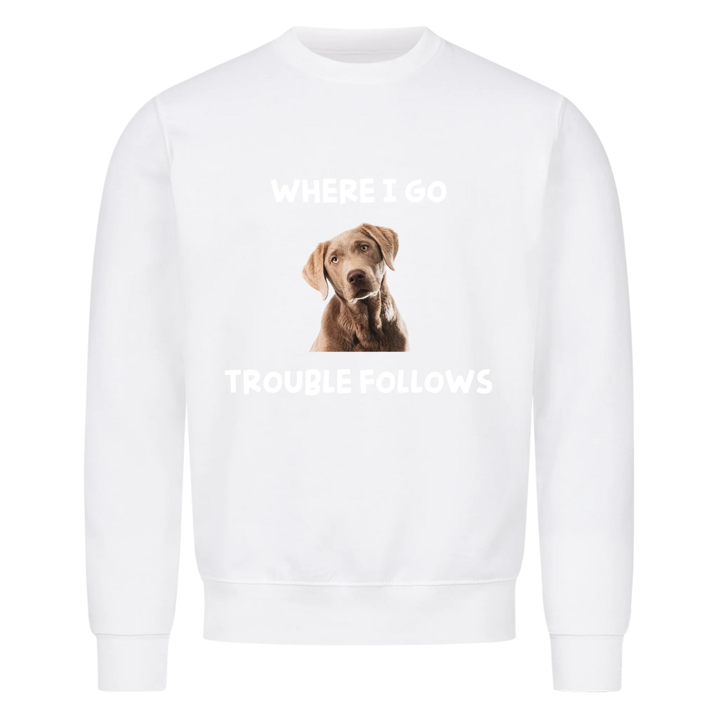 Where i go trouble follows - Sweatshirt / Pulli