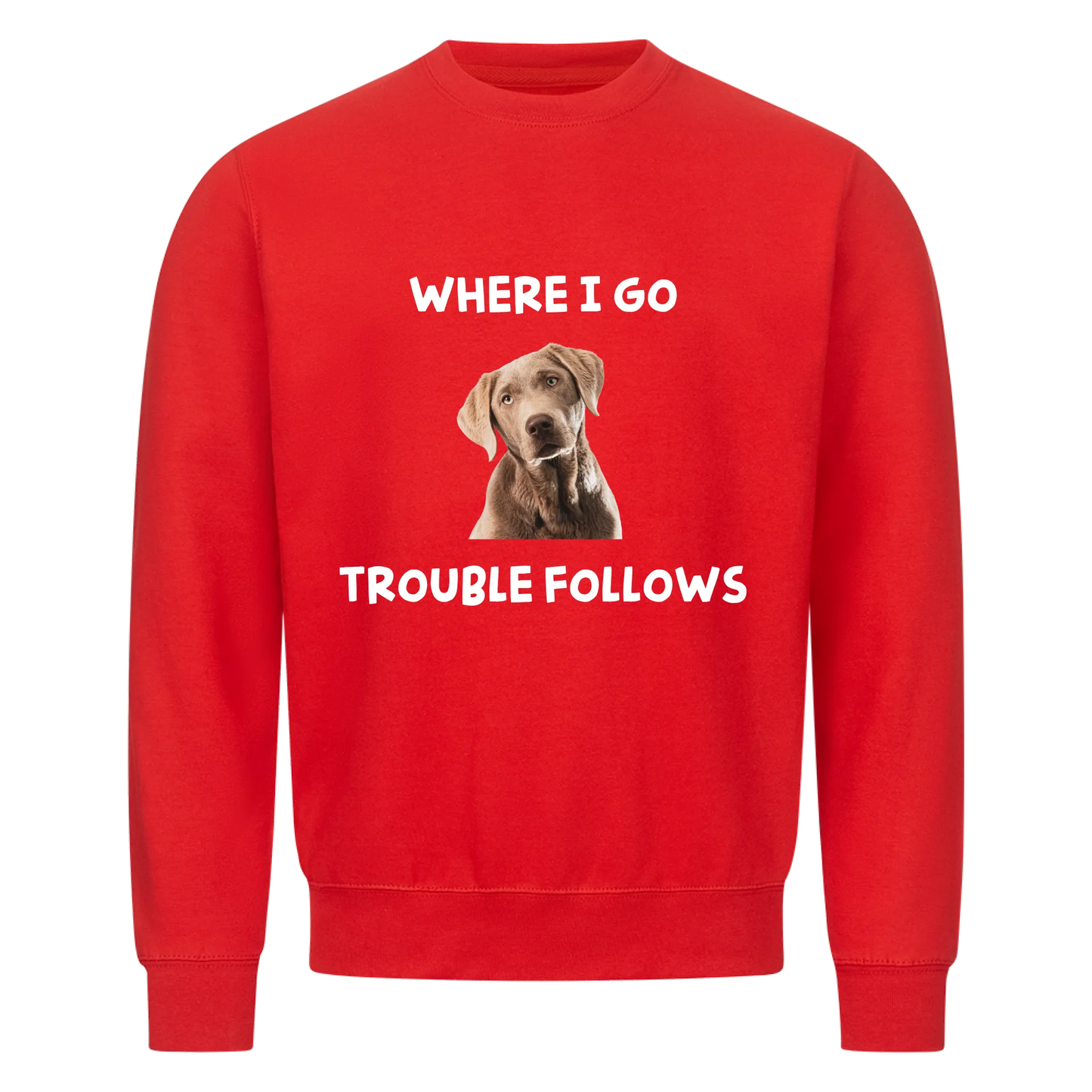 Where i go trouble follows - Sweatshirt / Pulli