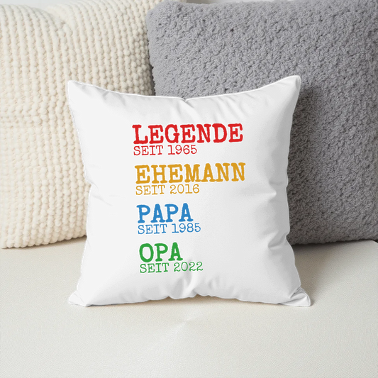 Pillow - Square - all color 4