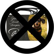 Ohne Bohren und Schnur